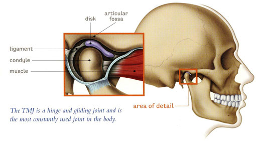 TMJ therapy - Illustration TMJ therapy - Thornhill Dentist - Illustration